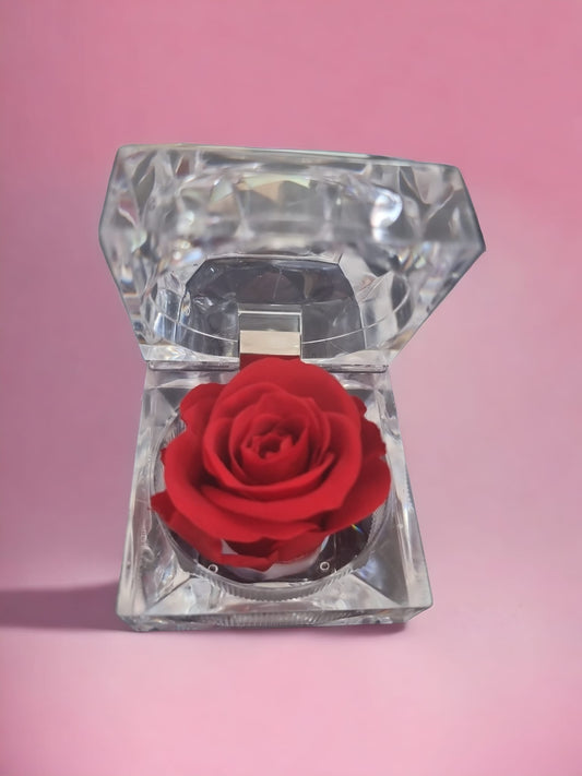 Preserved Red Rose in Glass Acrylic Box - A Perfect Valentines Gift - Auras Workshop Auras Workshop