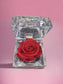 Preserved Red Rose in Glass Acrylic Box - A Perfect Valentines Gift - Auras Workshop Auras Workshop