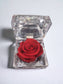 Preserved Red Rose in Glass Acrylic Box - A Perfect Valentines Gift - Auras Workshop Auras Workshop