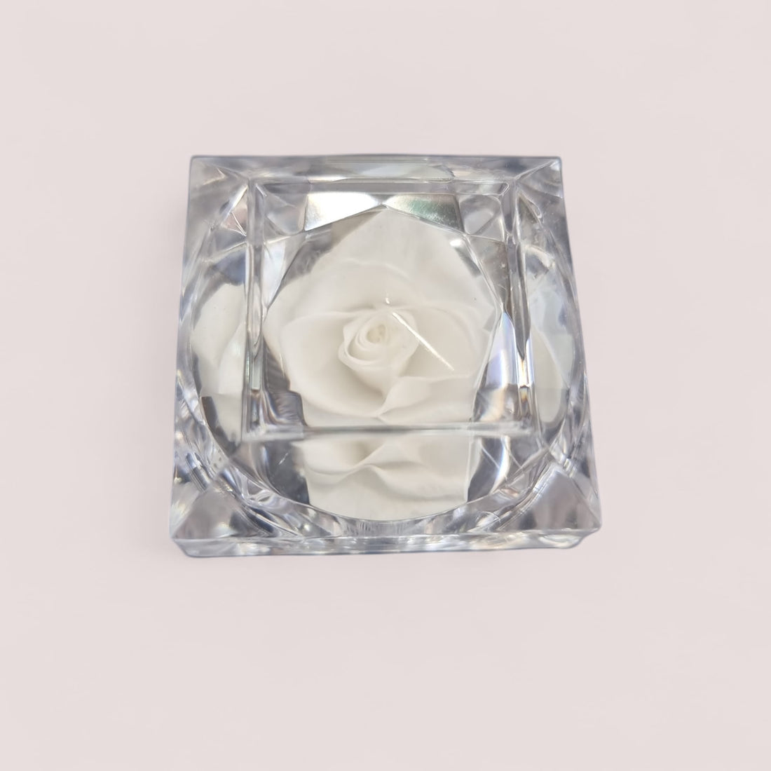Preserved White Rose in Glass Acrylic Box - A Perfect Valentines Gift - Auras Workshop Auras Workshop