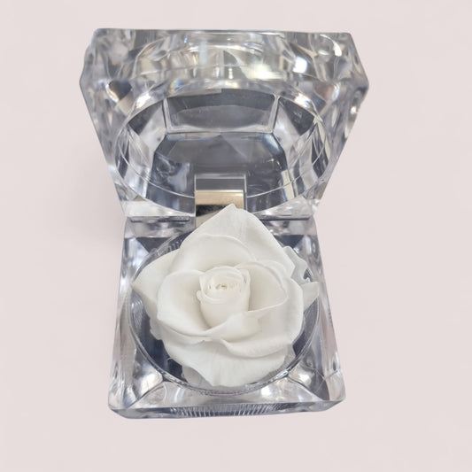 Preserved White Rose in Glass Acrylic Box - A Perfect Valentines Gift - Auras Workshop Auras Workshop