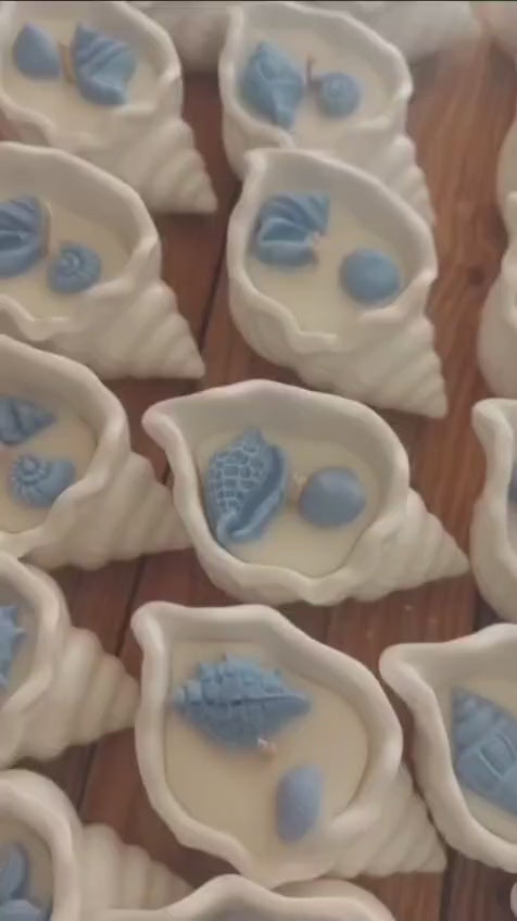 Aura's Workshop video 6