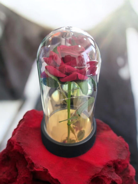 Red Rose in Glass Acrylic Cylinder with Lights - A Perfect Valentines Gift - Auras Workshop Auras Workshop