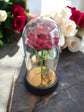 Red Rose in Glass Acrylic Cylinder with Lights - A Perfect Valentines Gift - Auras Workshop Auras Workshop