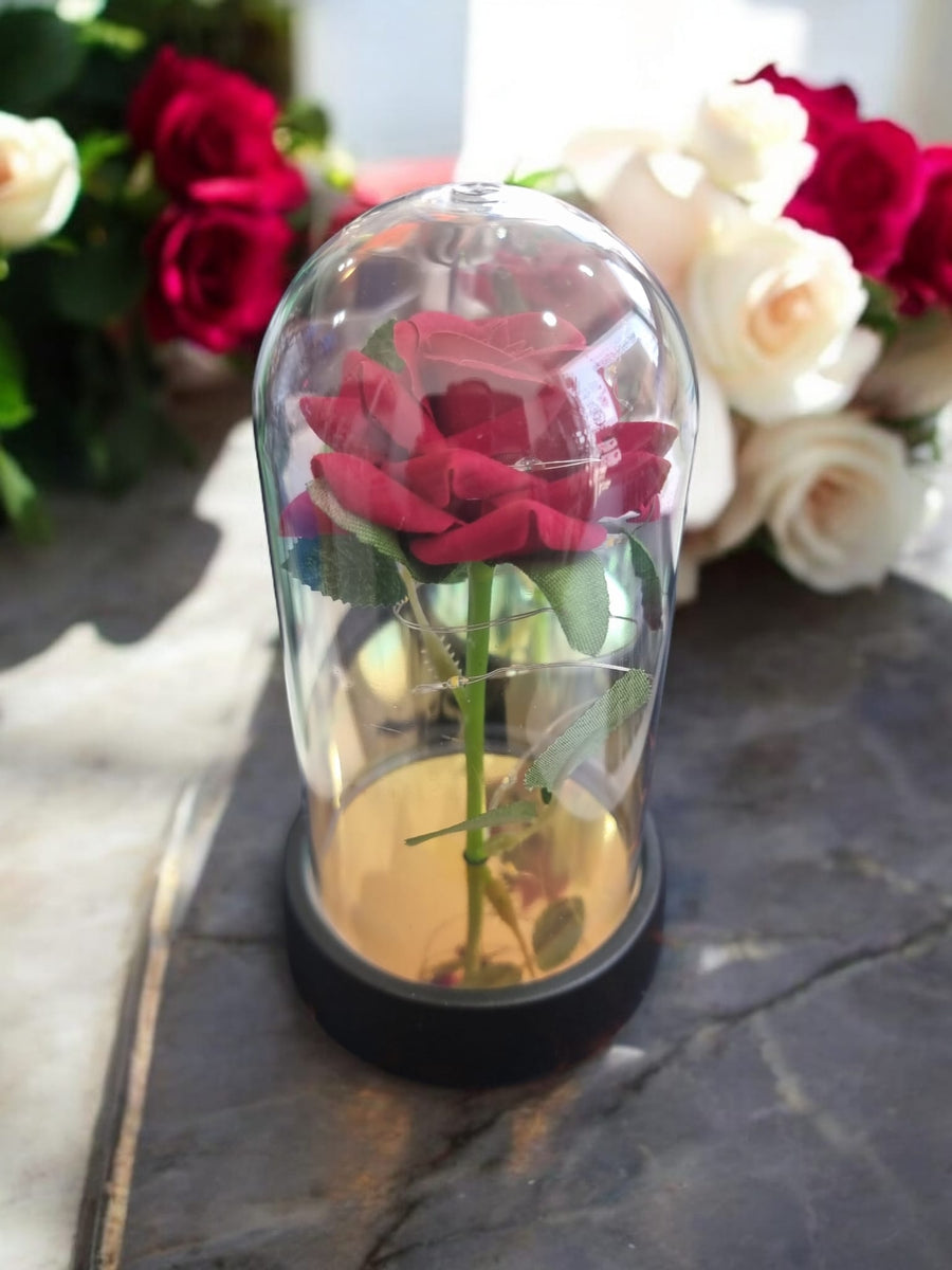 Red Rose in Glass Acrylic Cylinder with Lights  - A Perfect Gift