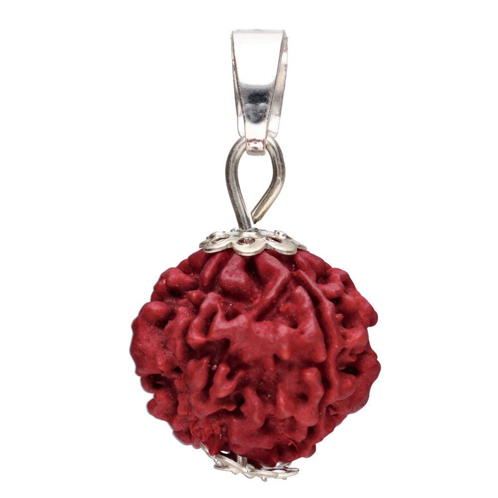 Rudraksha Seed Pendant –Crystal Jewellery - Auras Workshop Auras Workshop