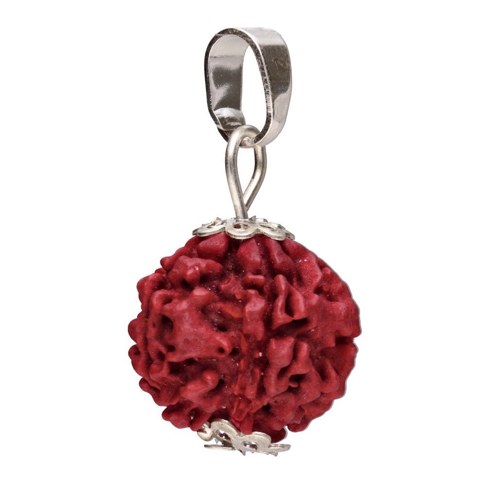 Rudraksha Seed Pendant –Crystal Jewellery - Auras Workshop Auras Workshop