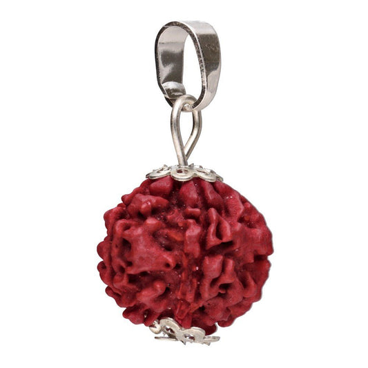 Rudraksha Seed Pendant –Crystal Jewellery - Auras Workshop Auras Workshop