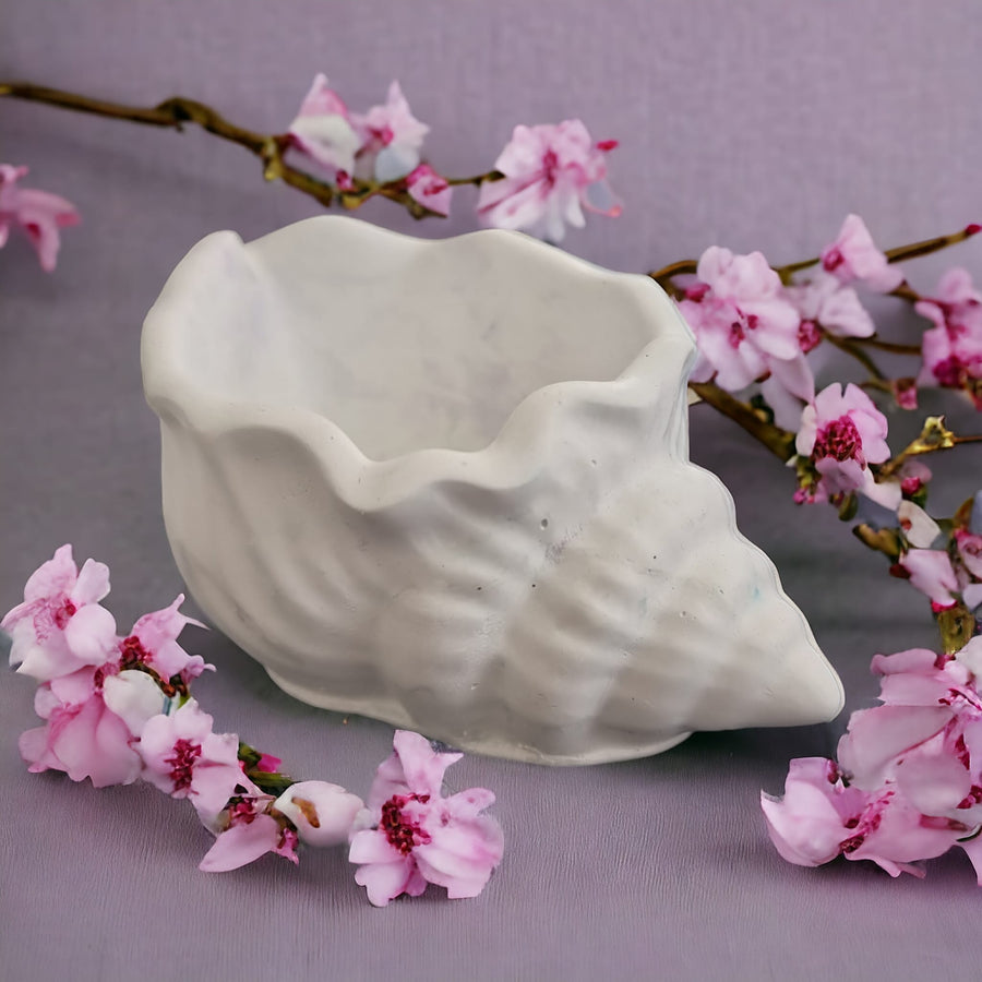 Seashell Small Decor Handcrafted - Various Colours