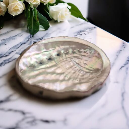 Smudge Stick Sage Bowl Seashell 8cm