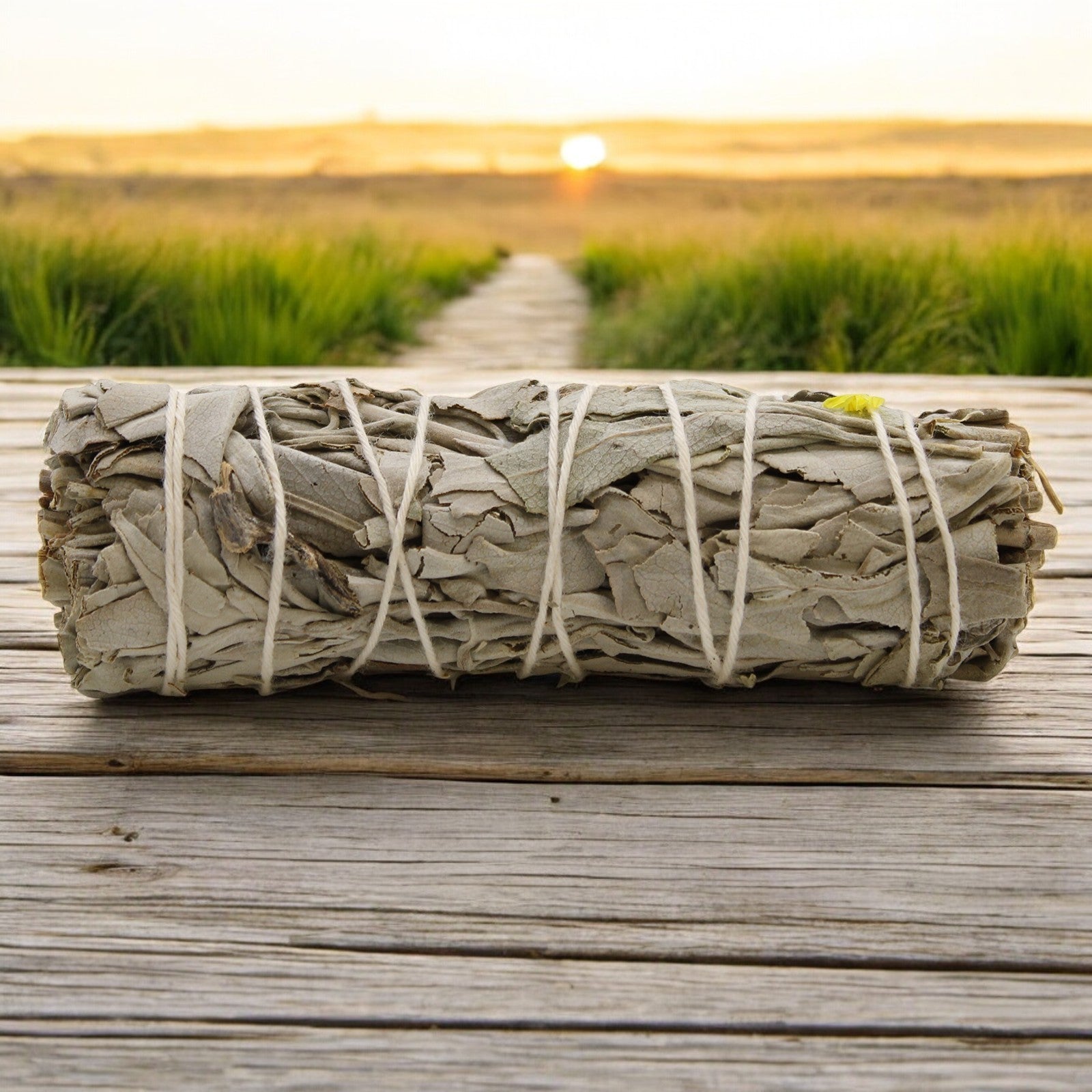 Smudge Stick - White Sage & Blue Sage 10cm - Auras Workshop Auras Workshop