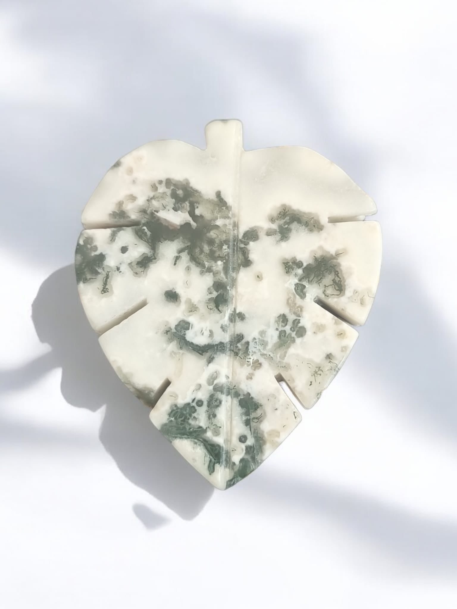 Tree Agate Leaf Crystal - Auras Workshop Auras Workshop