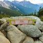 Tulsi Satya Incense Sticks - Auras Workshop Auras Workshop