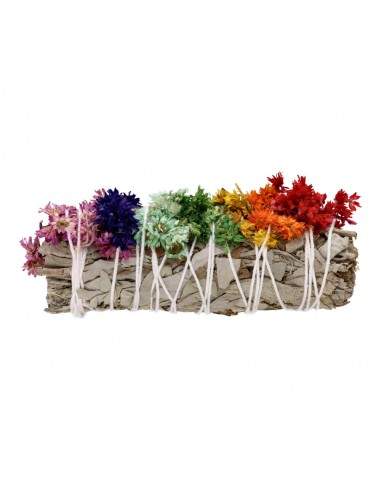 White Sage with Chakra Verbasco Flowers Smudge – Cleansing 10cm Smudge Stick - Auras Workshop Auras Workshop