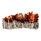 White Sage with Immortelle Flower Smudge Stick – Cleansing, Positivity & Spiritual Ritual - Auras Workshop Auras Workshop